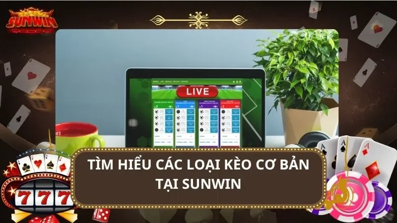 Tìm hiểu các loại kèo cơ bản tại SUNWIN